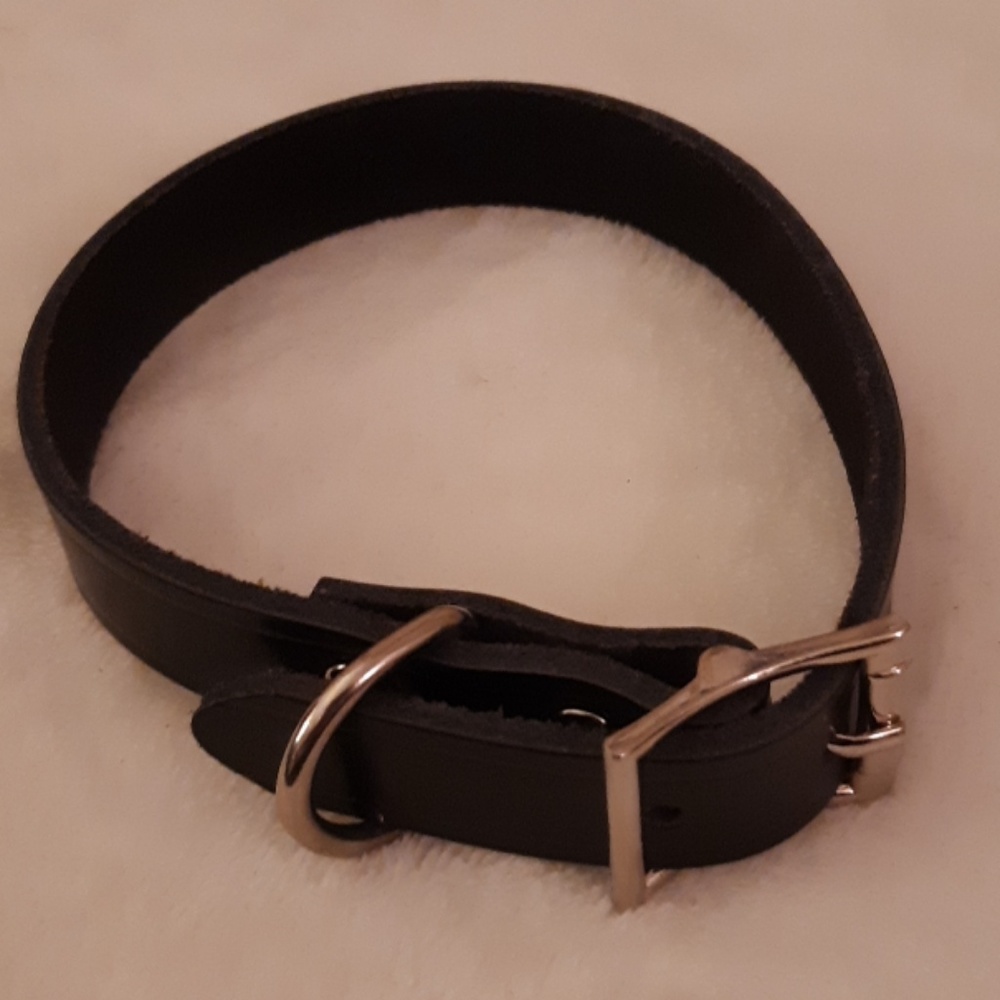 Black dog collar